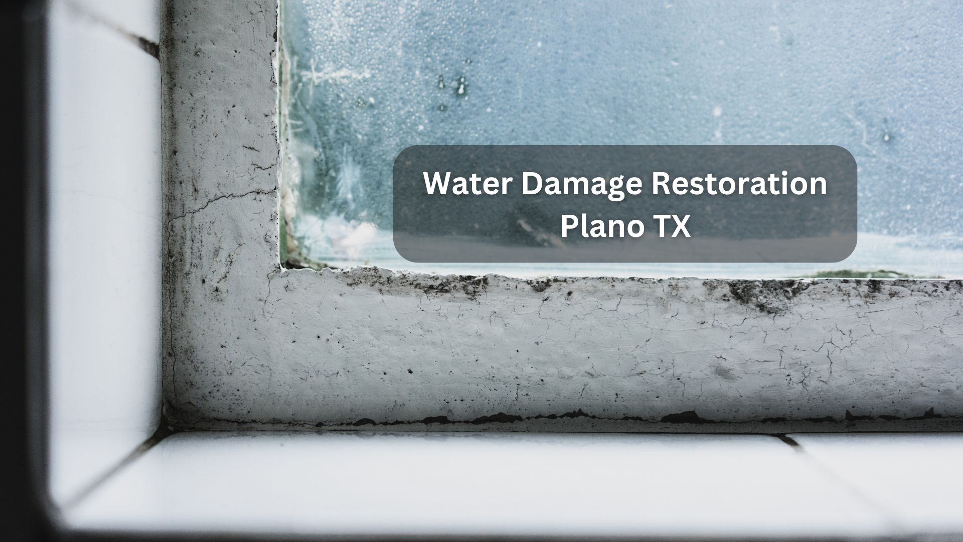 Water Damage Restoration Plano TX