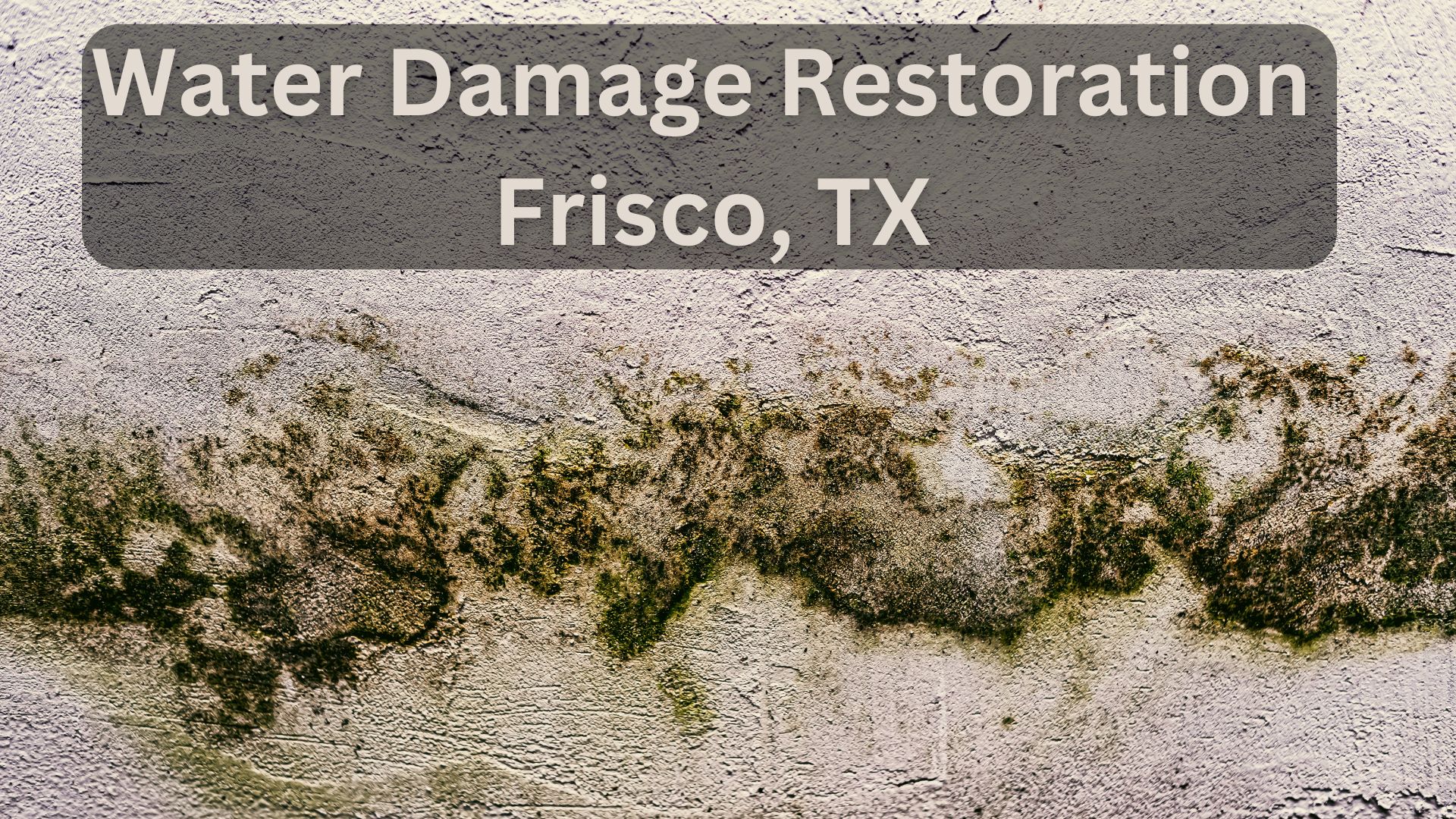 Water Damage Restoration in Frisco, TX