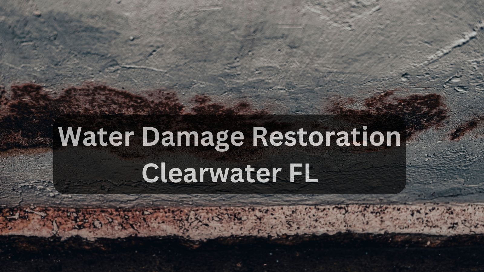 water damage restoration Clearwater FL