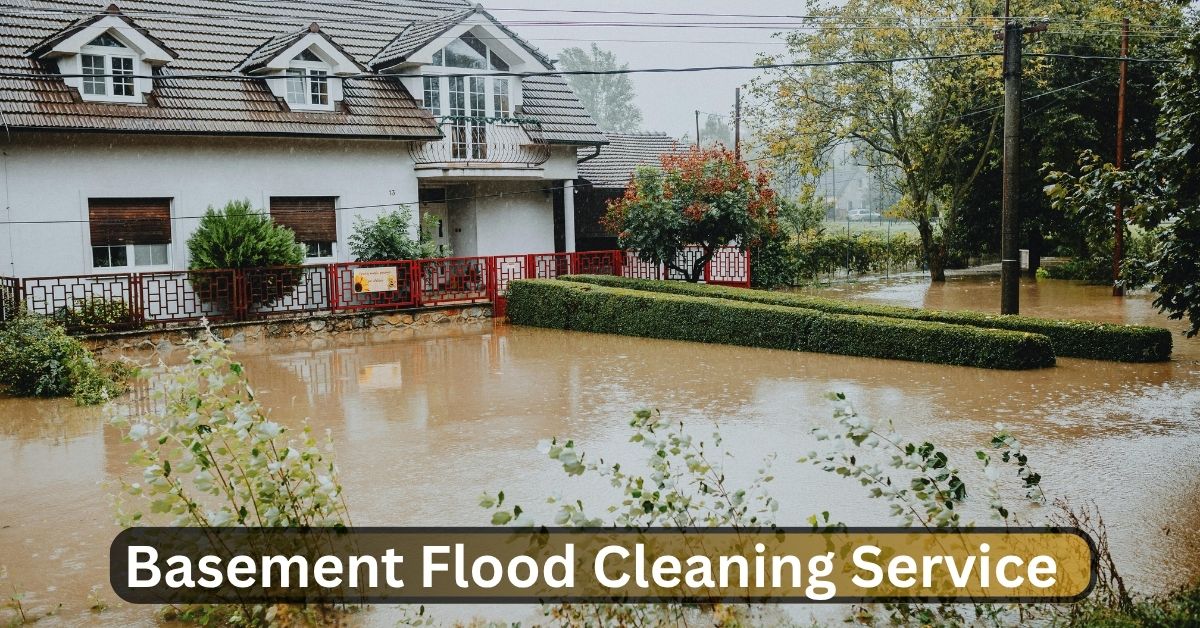 basement flood cleaning service